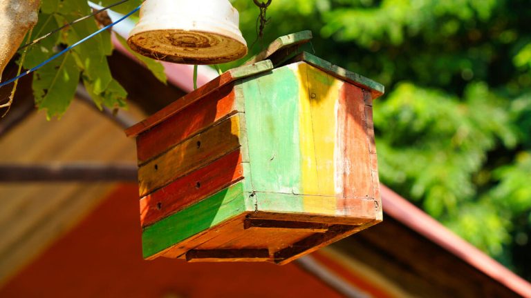 Noble Nest Eco Resort Khatu Shyam Ji