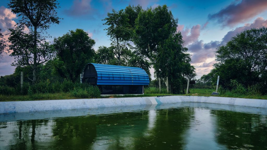 Noble Nest Eco Resort Khatu Shyam Ji