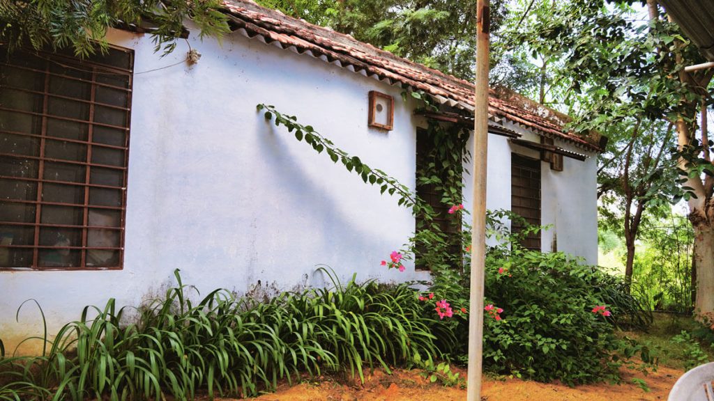 Noble Nest Eco Resort Khatu Shyam Ji