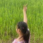 Noble Nest Eco Resort